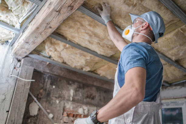Best Residential Insulation in West Blocton, AL