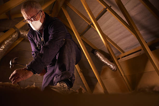Types of Insulation We Offer in West Blocton, AL